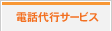 ������ԥ����ӥ�